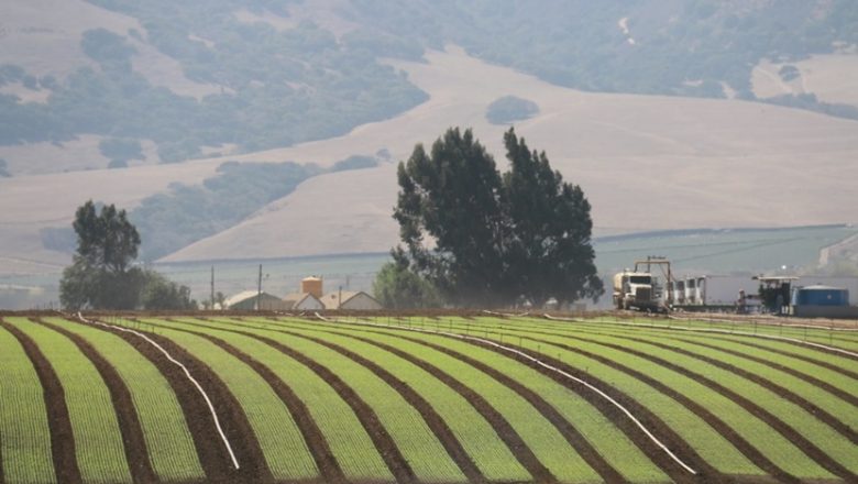 AgStart bygger fremtiden for mat i Nord-California