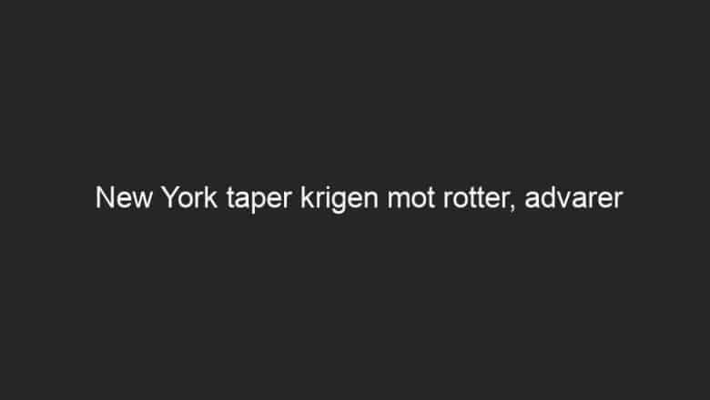 New York taper krigen mot rotter, advarer eksperten